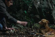 Vetre, pričaj sa mnom_kadar iz filma_Foto Promo (2).jpg