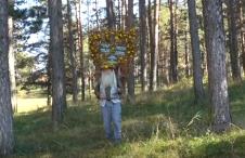 Borivoje Šišović u prirodi i šumi.jpg
