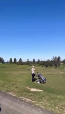 Screenshot 2025-08-17 103303.png