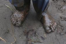 1 AP Muhammad Sajjad.jpg