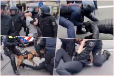 collage.jpg
