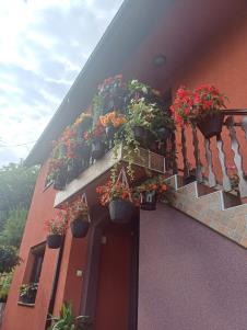 1. najlepši balkon - Slobodan Šunjevaric 2.jpg