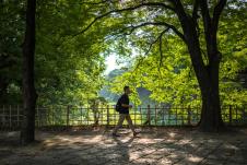 Park u Japanu
