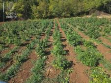 WhatsApp slika 2025-08-24 u 17.38.39_3585a171.jpg