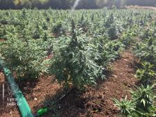 WhatsApp slika 2025-08-24 u 17.37.48_638832a5.jpg