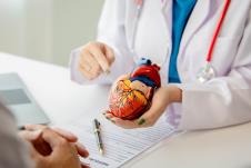doktorka poazuje pacijentu model srca