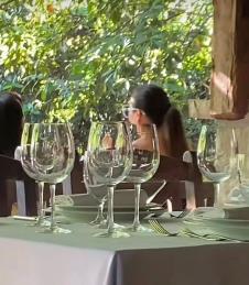 Svetlana Ceca Ražnatović (1).jpeg