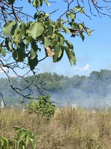 WhatsApp Image 2025-08-25 at 19.39.18_d7ec96ba.jpg