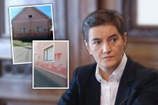 brnabić.jpg