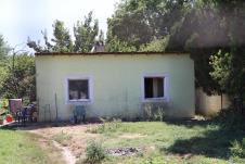 Snezana Pavlovic, nikad nije kasno