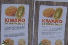 Kivano Voce (4).png