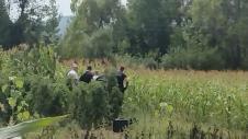 IMG-20250830-WA0119.jpg