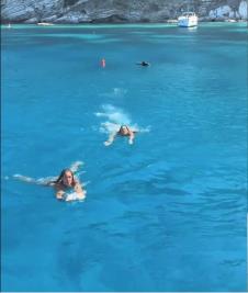 Grčka divlja svinja