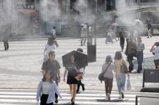 x11 EPA Franck Robichon.jpg