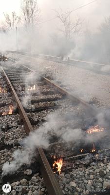 brusnik pozar 16.jpg