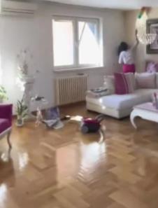 Stan Zlate Petrović