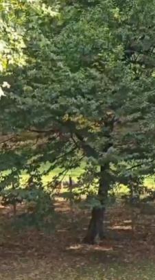 Screenshot 2025-09-05 133002.png