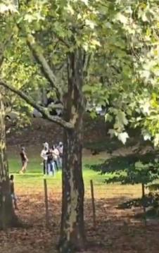 Screenshot 2025-09-05 132909.png