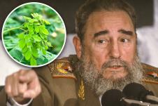 fidel castro.jpg