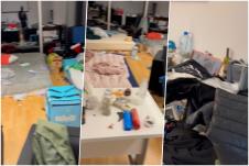 collage.jpg