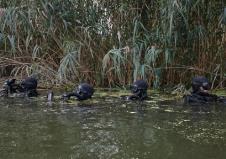 Screenshot 2025-09-09 133859.png