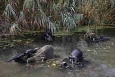 Screenshot 2025-09-09 133849.png