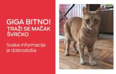 Mačak Švrćko_Telekom Srbija.jpg