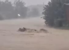 Kragujevac kanalizacija