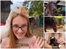 Backi Zoo vrt.jpg