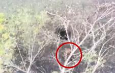 Screenshot 2025-09-13 131634.png