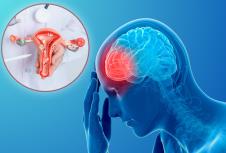 Model materice i jajnika / Hologramski prikaz osobe sa bolom u predelu mozga