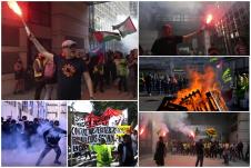 collage.jpg