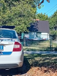 zemun 2.jpg