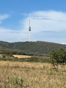 WhatsApp Image 2025-09-24 at 16.05.58_7652f00e.jpg