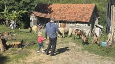 1758797467_prijepolje-pusica-fotorina.jpg