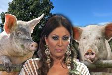 ceca.jpg