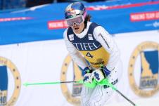 Pinejro Broten
