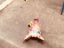 Screenshot 2025-09-29 175218.png