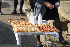 Pomen Tomi Zdravkoviću Toma Zdravković  godišnjica Centralno Groblje Goca i porodica (2).jpeg