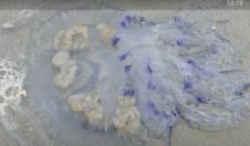 Screenshot 2025-10-01 103639.png