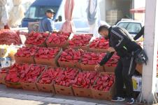 Veletrznica-Beograd-paprika.JPG