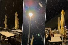 collage.jpg