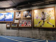 Stadion Dragao u Portu