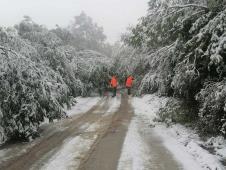 Kadinjača - Ponikve.jpg