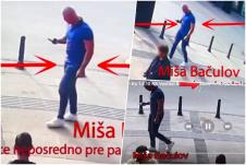 collage.jpg