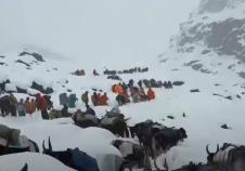 Screenshot 2025-10-06 153338.png