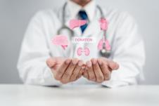 medicinski radnik u belom mantilu drži šake okrenute na gore iznad koji se vide skice različitih organa obojenih u roze