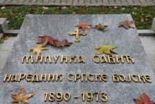 011 NOVEMBAR MILUNKA SAVIĆ(1) copy.jpg