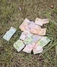 2025-10-07 22_31_48-Media Player.png