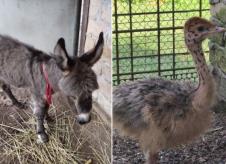 Screenshot 2025-10-08 125245.jpg